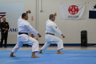 aikido 1